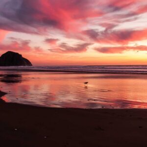 Toll Collect On-Board-Unit