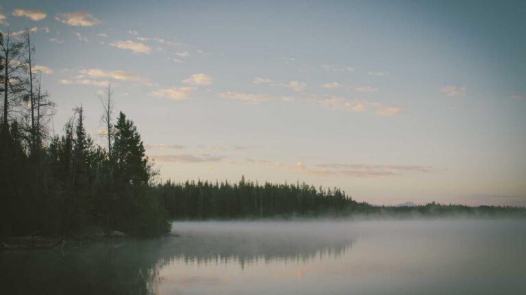Mautfrei durch Deutschland und Österreich: Alternative Routen für Sparfüchse